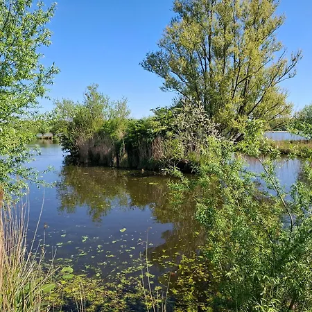 Sweetlake