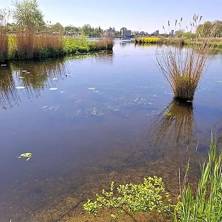 Sweetlake Zoetermeer