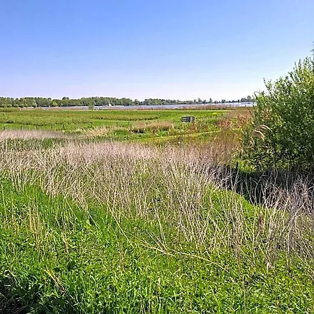 Sweetlake