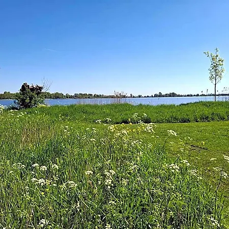 Sweetlake