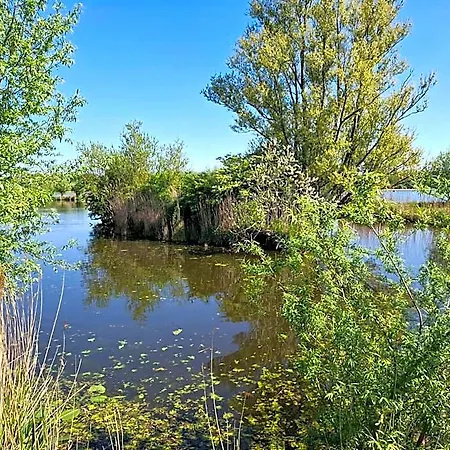 Πανσιόν Sweetlake Zoetermeer