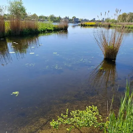 Casa de hóspedes Sweetlake